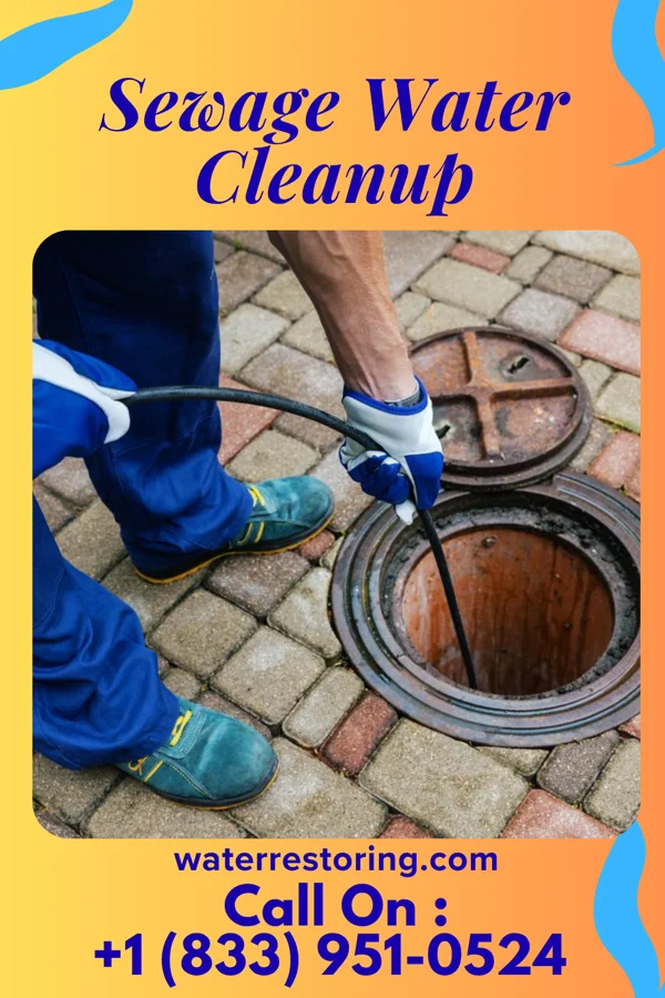 Sewage Water Cleanup in Golden, MS